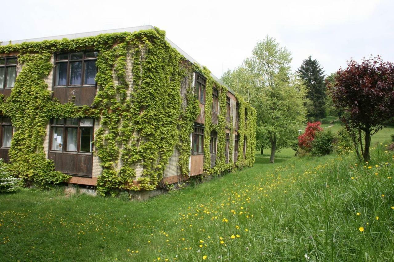 Blumenmeer Appartment Ober-Hambach المظهر الخارجي الصورة